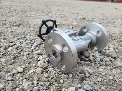 2019 1" Class 600 Globe Valve API 602