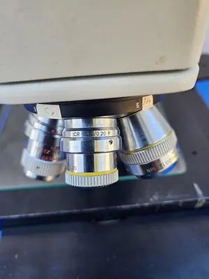 Ernst Leitz 10X/0.22 10X/0.20 P NPL FLUOTAR 20X/0.45