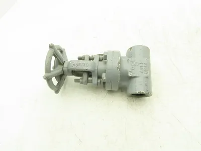 Flowserve 40405-1 1" Gate Valve 1975psi Forged Steel Rising Stem