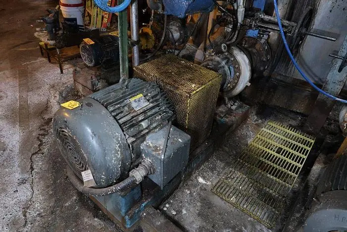 USED GOULDS 3196
