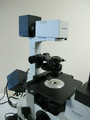 Used Olympus IX70-S8F Microscopes California US | Amiron Machinery #1096568
