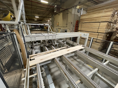 Weinig Optisaw System with Luxscan Combiscan and 3 Opticut 450 Quantum