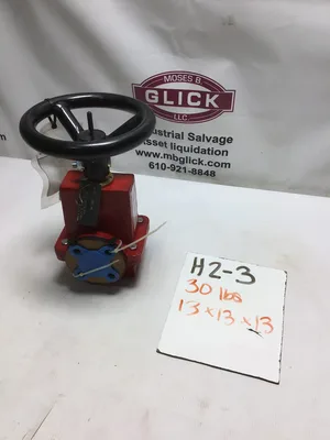 Red Valve Series 75 1″ Pinch Valve CI Body