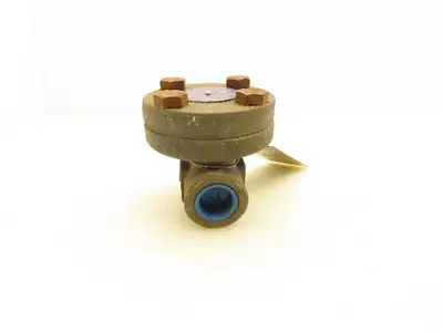 Bonney Force 1078140021 Piston Check Valve 1/2" NPT HI41 Class 800 A105N