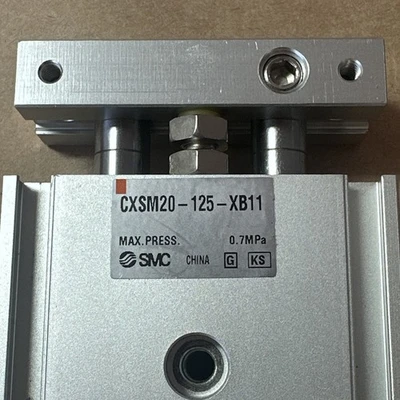 NEW SMC CXSM20-125-XB11
