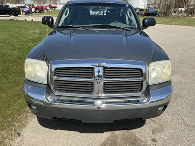 Used 2005 DODGE DAKOTA Pickup Trucks Michigan US | Miedema Asset Management Group #1413866