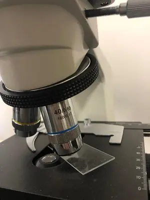 Cole Parmer Microscope B2-SERIES
