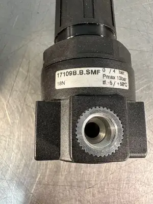 Dalmec 00.79.0484 Air Pressure Regulator In Max 1,6Mpa (7.2.2)