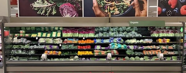 130-0163 Tyler N6PHPM 20’ Remote Produce Multi Deck Display Cooler