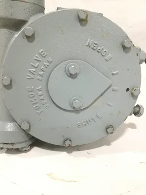 Tomoe K6129/250A/SCS13A 10″ Semi Lugged Butterfly Valve