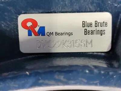 NEW BLUE BRUTE DVC22K315SM