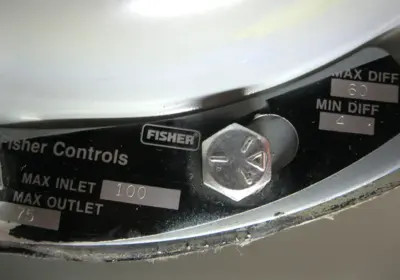 NEW Fisher 1098-EGR