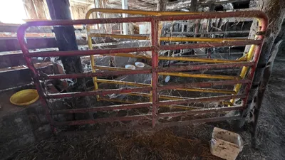 VARIETY GATES gates | Iron Listing (17)