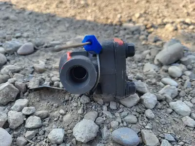 1/2" Class 800 Check Valve API 602