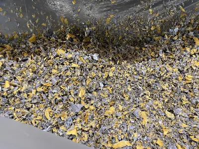 Weima WLK 15 Film & Fiber Shredder 150 HP
