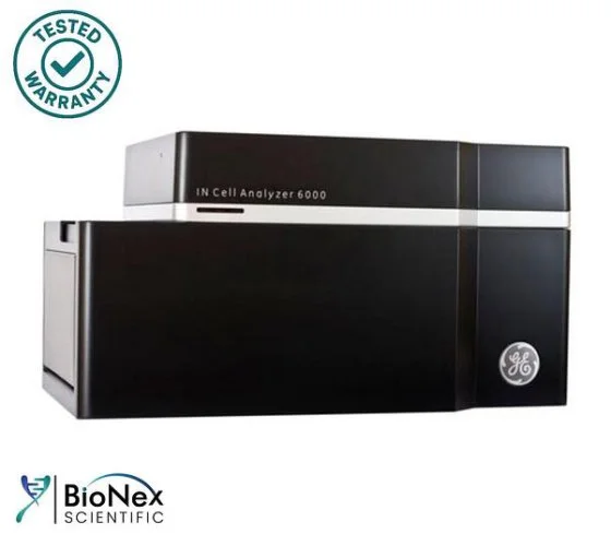 Used GE HEALTHCARE IN CELL ANALYZER 6000 Imaging Systems / Molecular Imagers New Jersey US | Bionex Scientific LLC #800579