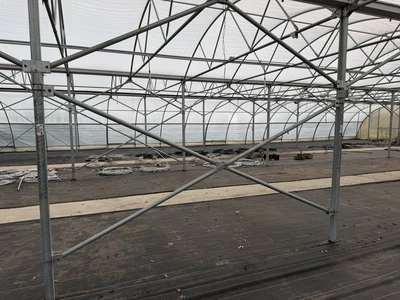 Used _UNKNOWN_ _UNKNOWN_ Greenhouse Equipment Michigan US | Miedema Asset Management Group #1396114