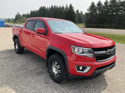 Used 2017 CHEVROLET COLORADO Pickup Trucks Michigan US | Miedema Asset Management Group #1316034