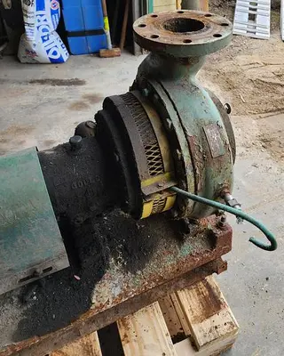 USED GOULDS 3196