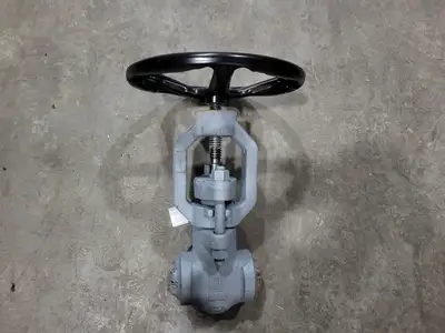 2" Class 2500 Globe Valve B16.34
