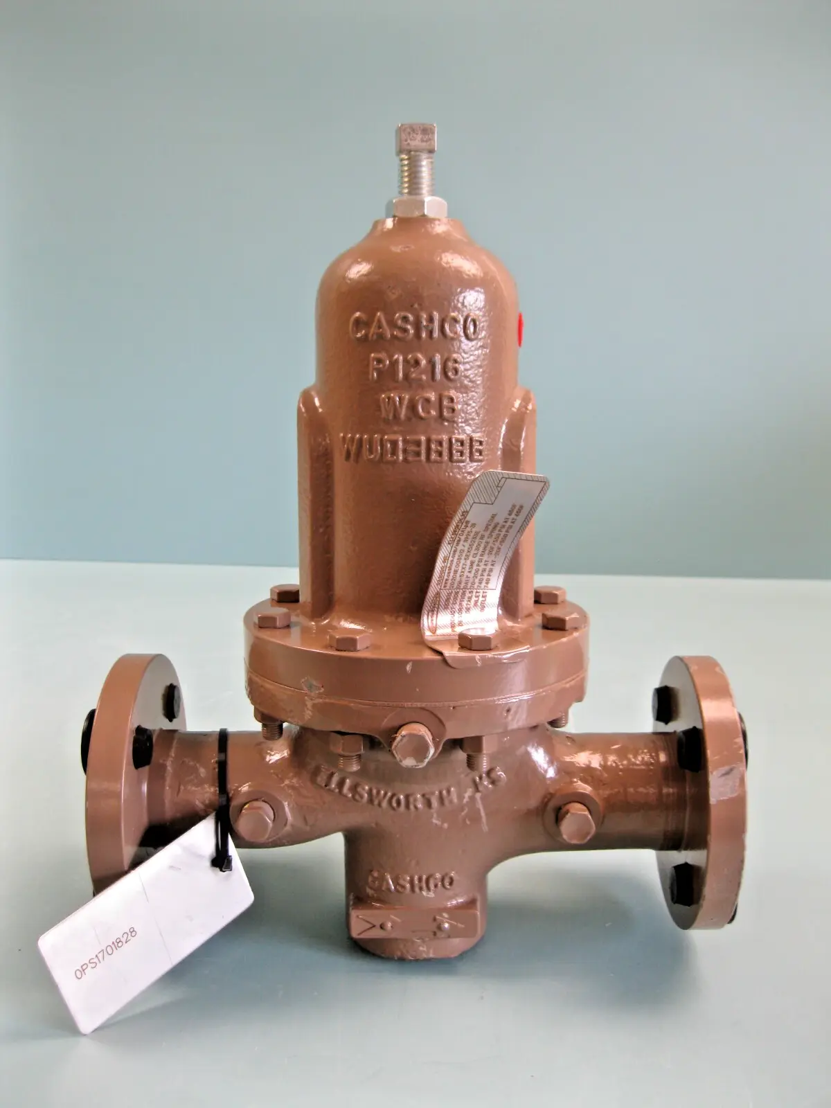 NEW Cashco D16-5XX7-5EX55233E