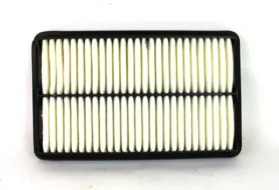 Napa Gold 6443 Air Filter