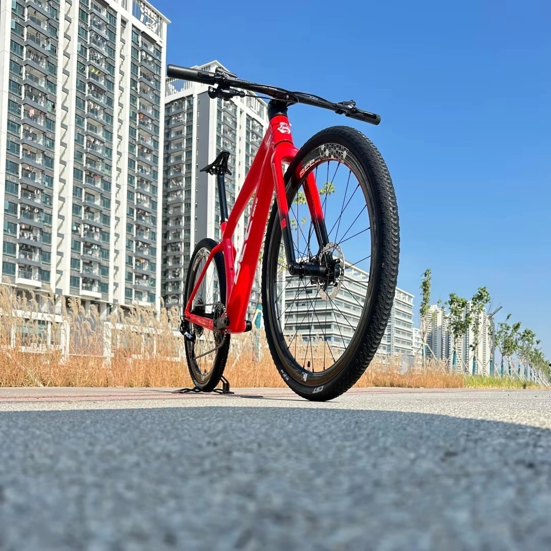 NEW BeeBIKE 29er Full Carbon Fiber Mountain Bike SRAM NX 12 Speed Groupset BeeBIKE 29er Full Carbon Fiber Mountain Bike SRAM NX 12 Speed Groupset