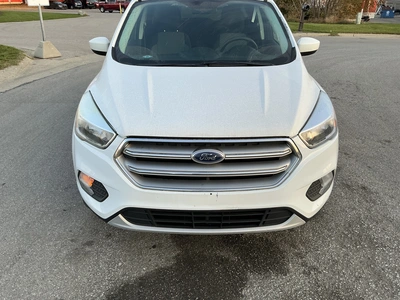 Used 2017 FORD ESCAPE Utility Vehicles Michigan US | Miedema Asset Management Group #1732719