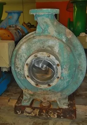USED Goulds 3175