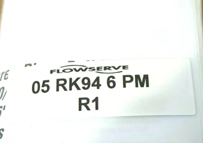 NEW FLOWSERVE 05 RK94 6 PM KIT 05RK946PM