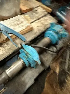 NEW VOITH BIRD ST100