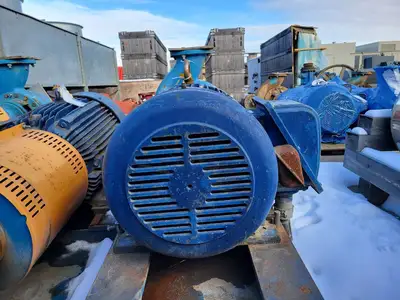 USED GOULDS 3196