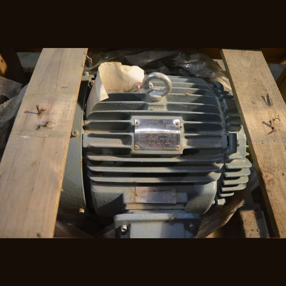 Optim 15 HP Motor