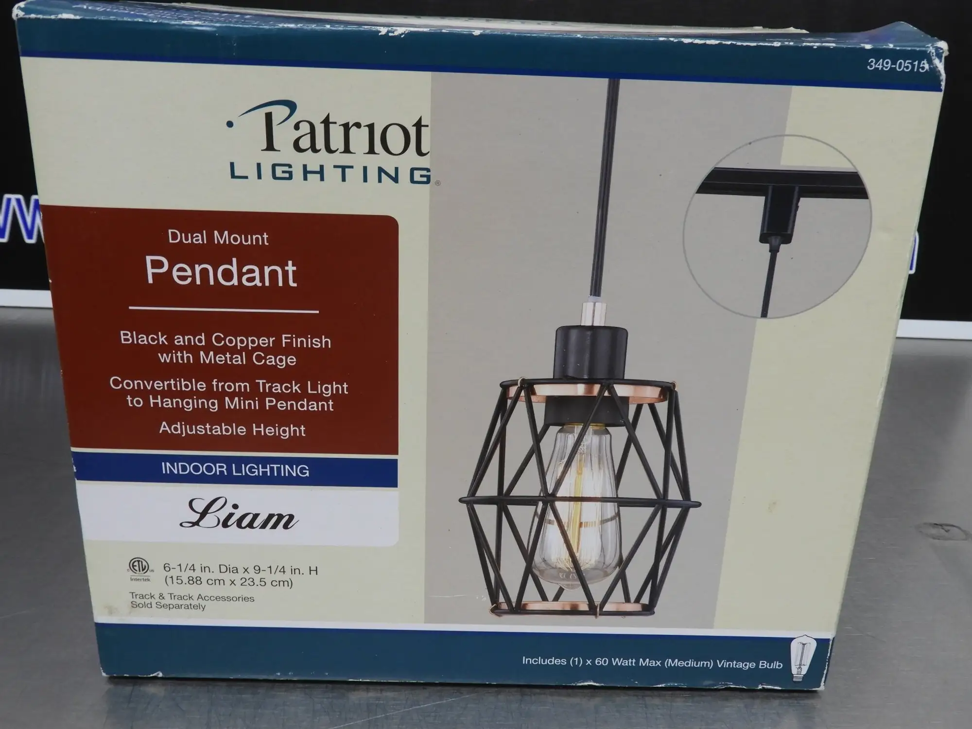 New | in-Stock Patriot New Patriot 349-0515 Dual Mount Liam Pendant Light with Vintage Bulb Lighting Illinois US | Falcon Restaurant Supply #1376537