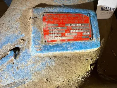USED GOULDS 3175