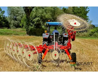Used FARM KING RB10FK - 10 WHEEL Hay Rakes Iowa US | Keast Enterprises #1360486