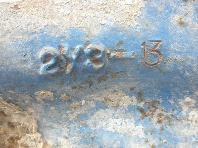 USED GOULDS 3196