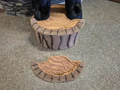 6'-3" Black Bear Display