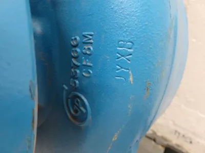 USED Goulds 3196