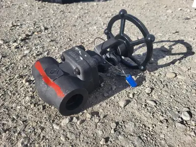 1" Class 800 Gate Valve API 602