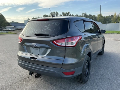 Used 2016 FORD ESCAPE SUVs Michigan US | Miedema Asset Management Group #1406841