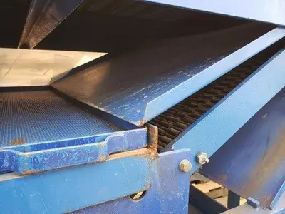 Berry Grading Sorter