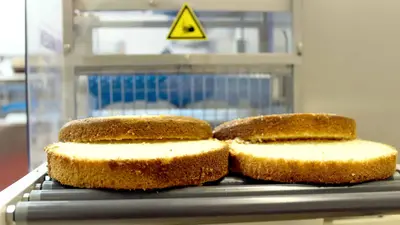 KRUMBEIN | HS300 Horizontal Tabletop Slicer | Cake Slabber