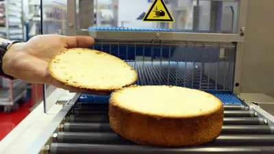 KRUMBEIN | HS300 Horizontal Tabletop Slicer | Cake Slabber