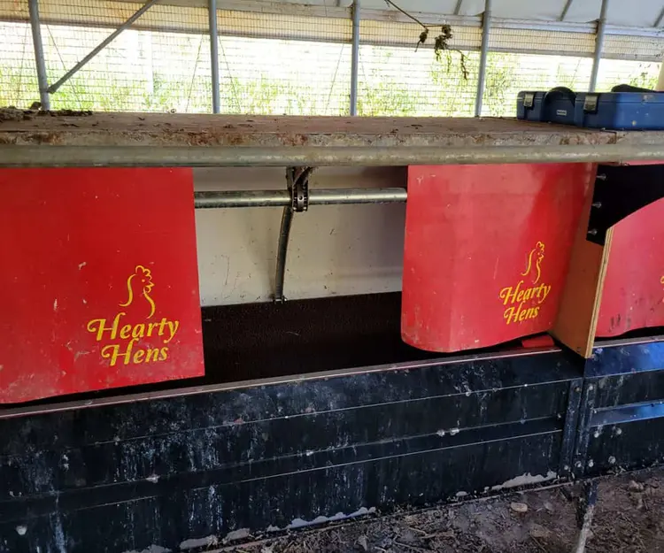 Used HEARTY HENS _UNKNOWN_ Egg Systems Pennsylvania US | Trustworthy Equipment #1549990