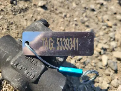 3/4" Class 800 Check Valve B16.34