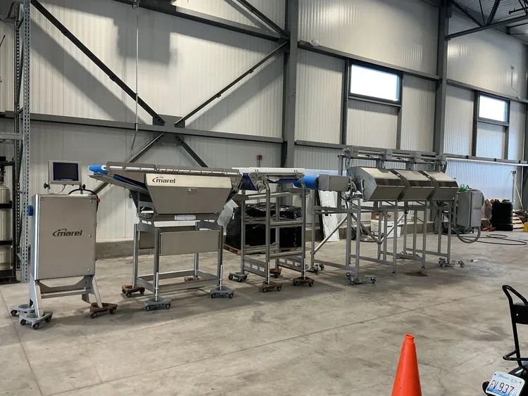 Used MAREL GRADING LINE Food Processing Equipment (misc) Illinois US | M&M Equipment Corp. #1383326