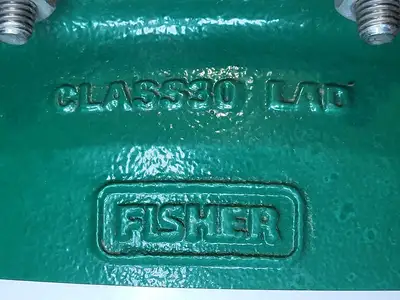 USED FISHER V200