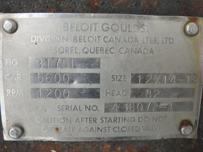USED Goulds 3175