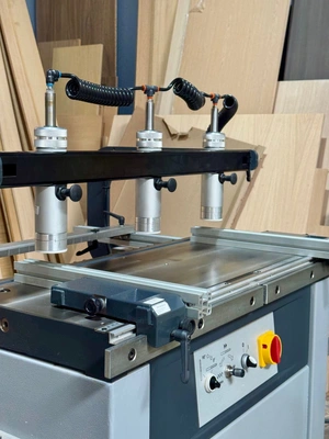 2021 FELDER FD 21 Pro Multi Boring Machine Drilling Machine | Complete Cutting Solutions (3)